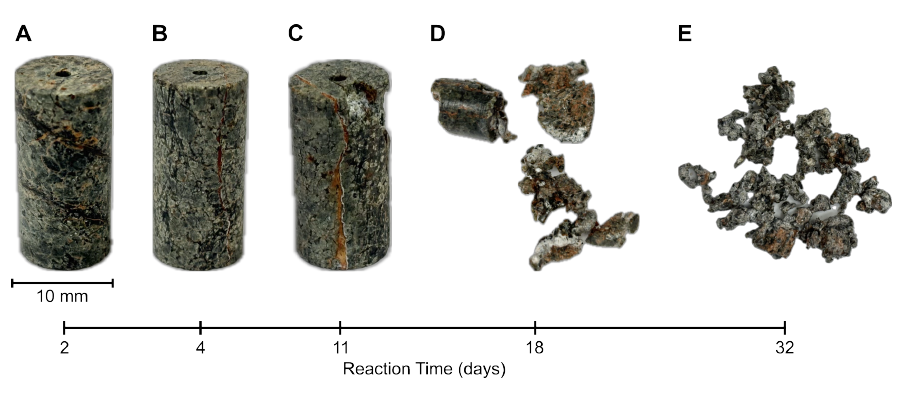 Ultramafic rock mini-plugs after 2, 4, 11, 18, and 32 days of reaction, showing progressive cracking and disaggregation.