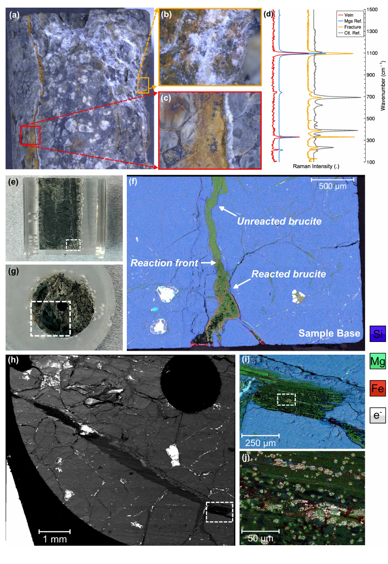 Optical images, Raman spectra, and electron-microscope elemental maps locating reacted brucite, a carbonate reaction front, and iron-bearing magnesite near new fractures.