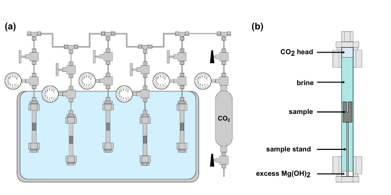Diagram of pressurized reactor tubes in a temperature-controlled bath and a rock sample submerged in magnesium-rich brine beneath a carbon dioxide headspace.
